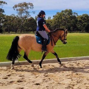 Meet your Posher, Heather